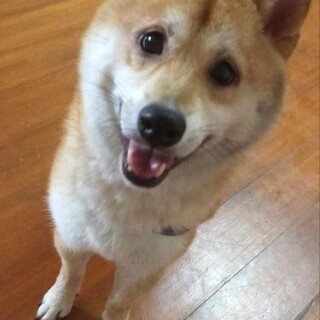 笑顔がチャーミング！おもちゃ大好きこむぎくん！