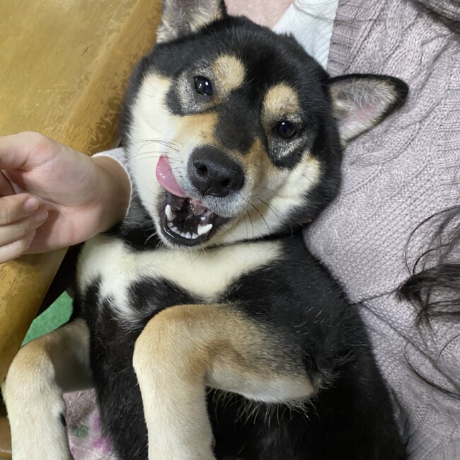 こうたろうですのカバー写真