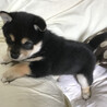 こうたろうです