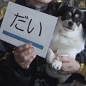 眼の上のまろが可愛い☆だいくん