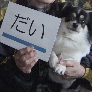 眼の上のまろが可愛い☆だいくん