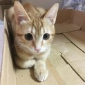 かわいい４きょうだい