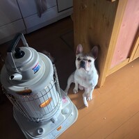 西郷　組長