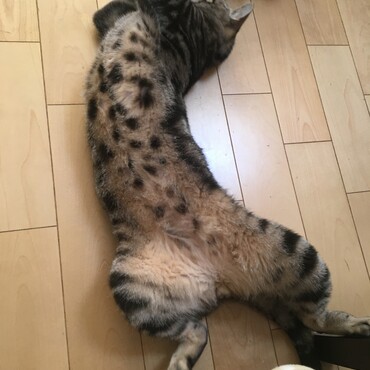 今日はよくクネクネしてるかいちゃん♡