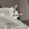 きづは