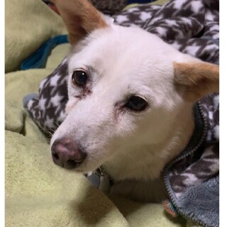 【緊急】行き場が無くなります  ユリア