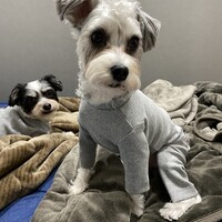 むぎ