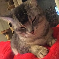 しお