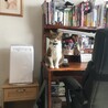 コパン