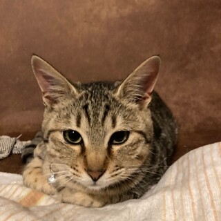 元気で懐こい　さねみ君♪