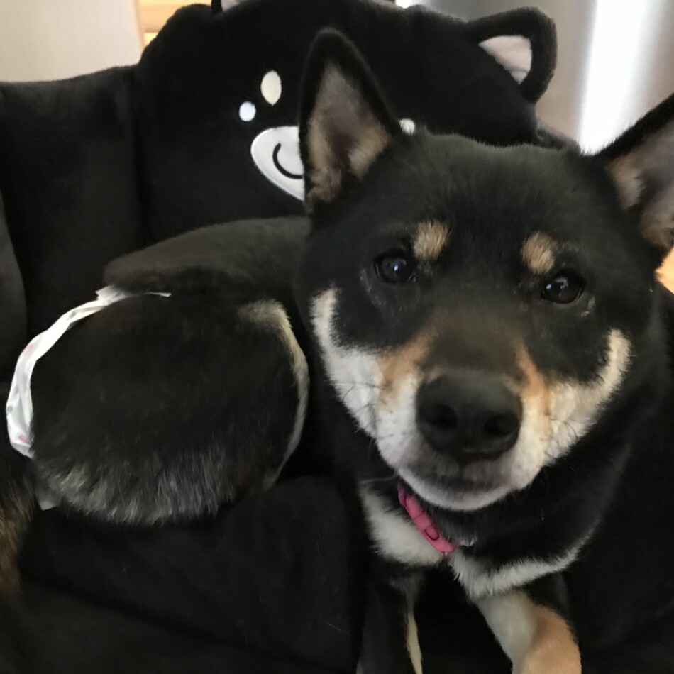 そらのカバー写真