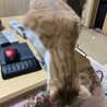 なんだよ！