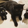 の写真