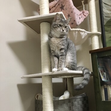 おすまししてます^ ^