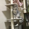 おすまししてます^ ^
