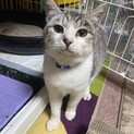 生後8ヶ月のユウ君【交渉中】