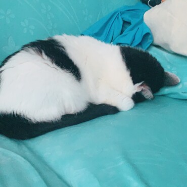 の写真