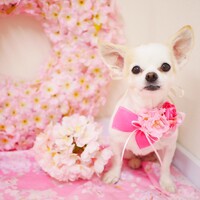 瀧上　くーたん