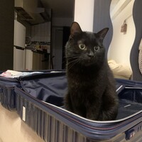 エレ