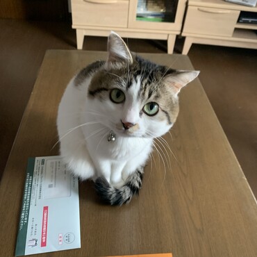 くにまるの写真