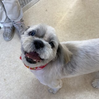 ありがとうございました★ボスくん