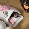 お布団でねんね