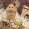 ぽんたさん