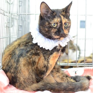 大人の落ち着き♪なサキちゃん