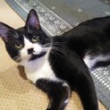誰にでも甘えん坊