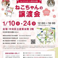 ねこざんまい譲渡会＠東日本橋