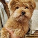 保護っこ♪うずい君♪里親絶賛募集中！