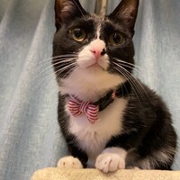 おちょこ