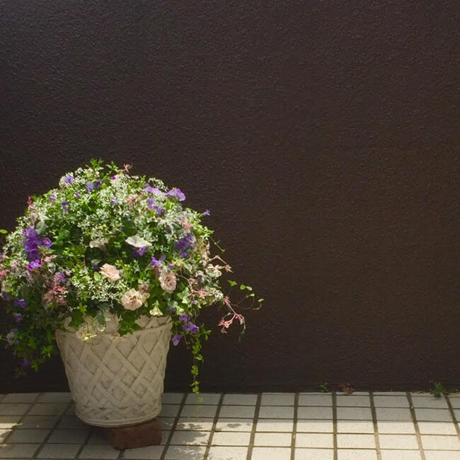 Asoboのカバー写真