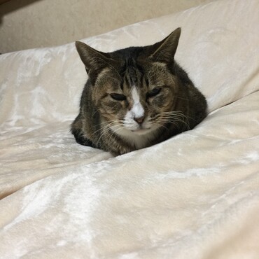 久しぶりにソファー♡咳もクシャミも口内炎も大丈夫(^^)vだけど…顎の膨らみが少し残ってるの(^^;)