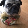アルギンコタ