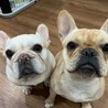 おくみです