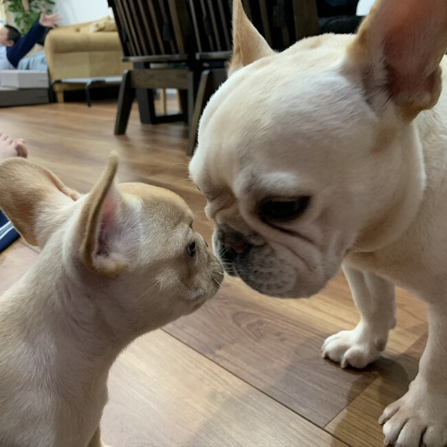 おくみですのカバー写真