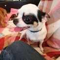 知人宅より