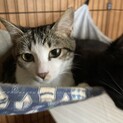 ずっとのおうちがみつかりました(^^)