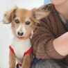 みずきちゃん