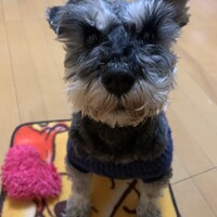 川嶋グー