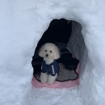 初めてのかまくら