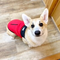 くう