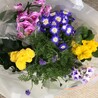 さるえみ