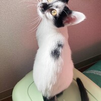 らみ