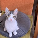 そうっと甘えてきます★そうちゃん