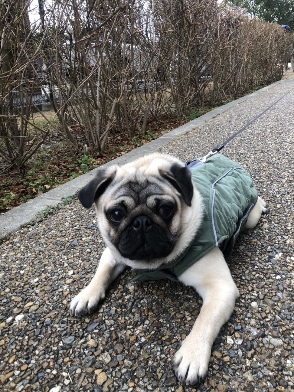 颯太　ふうた