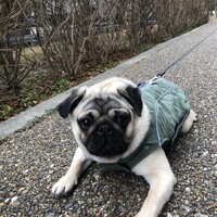 颯太　ふうた