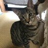 里親決定しました サムネイル3