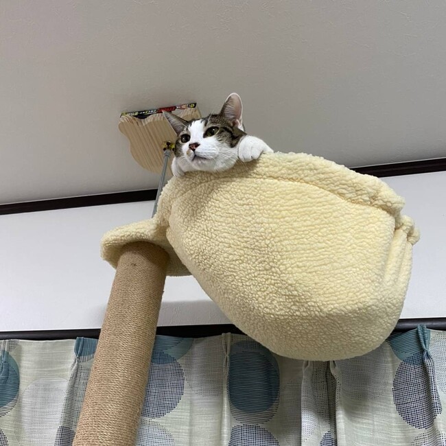 リエ様のカバー写真